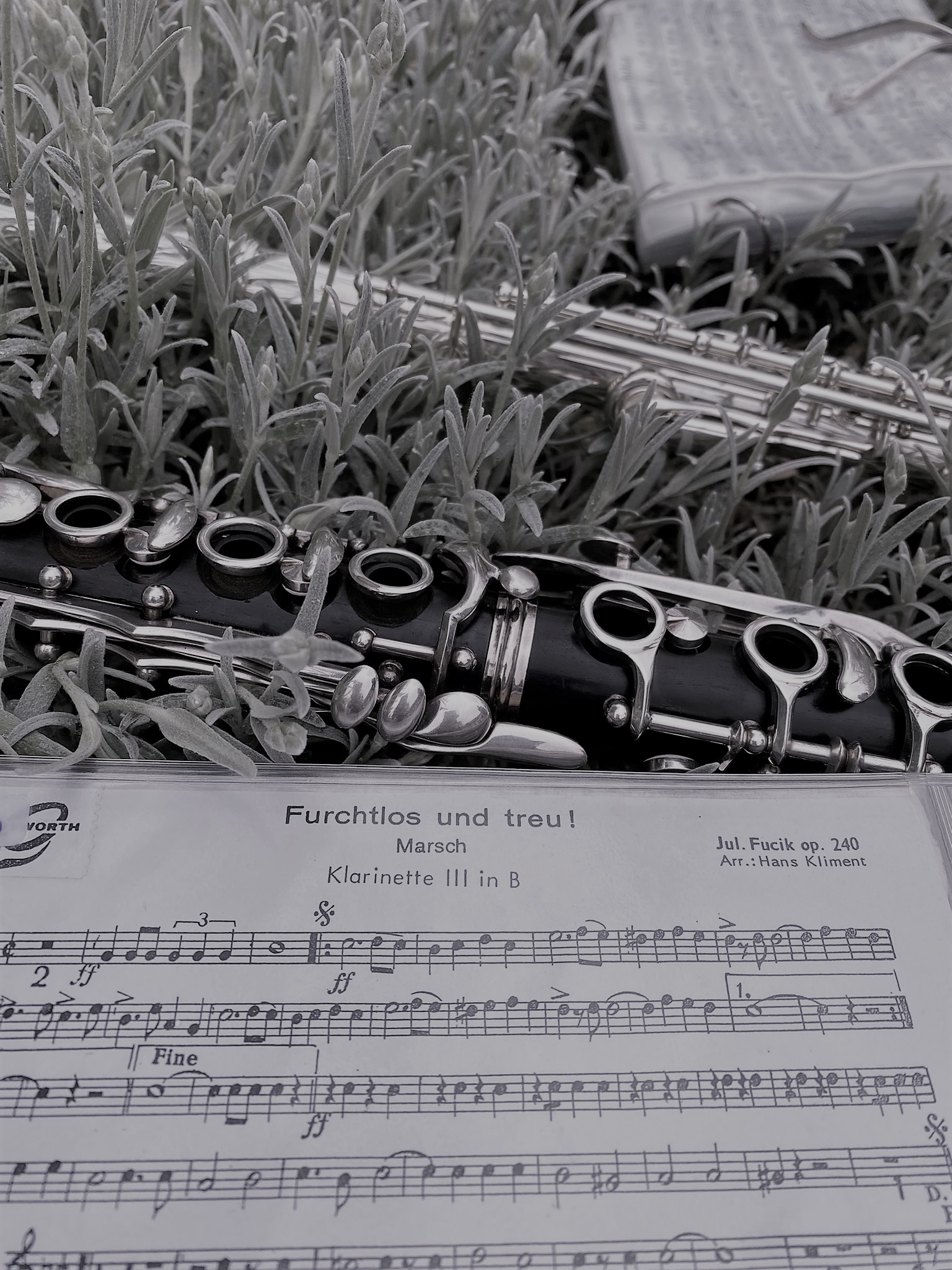 https://www.musikfeldkirchendonau.at/wp-content/uploads/2025/05/IMG_8821-1.jpeg