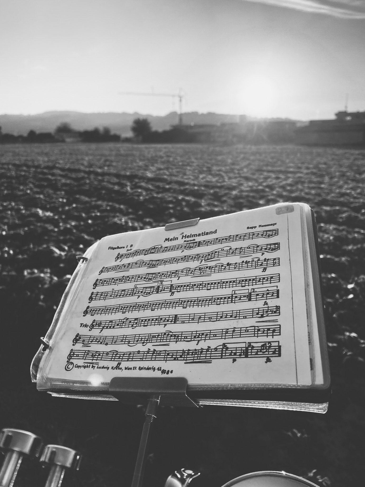 https://www.musikfeldkirchendonau.at/wp-content/uploads/2025/05/IMG_9181_editedsw.jpg